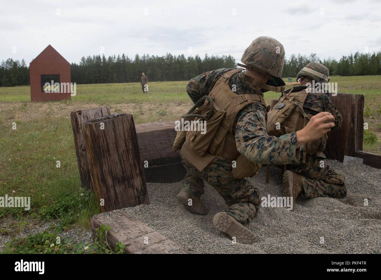 Ein Marine mit 3.Bataillon, 23 Marine Regiment, in der 4. Marine Division jährliche Rifle Squad Wettbewerb konkurrieren, wirft ein Dummy Granate während der Bekämpfung der Treffsicherheit Härtetest bei Joint Base Elmendorf-Richardson, Anchorage, Alaska, Aug 6, 2018. Super Squad Wettbewerbe wurden entwickelt, um eine 14-Mann Infanterie Squad in ein weites Feld und Live-fire Evolution zu bewerten. Stockfoto