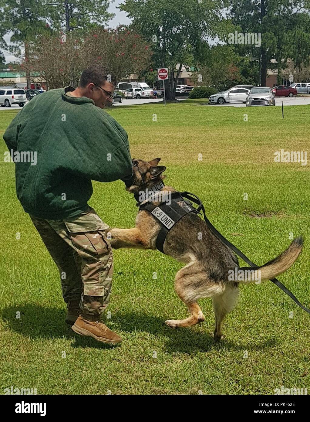 Pfc. Jerrold Wilkins, ein Militär Hundeführer mit 93 militärische Gebrauchshund Loslösung, 385 Militärpolizei Bataillon, führt kontrollierten Aggression training mit einer militärischen Arbeitshund auf Fort Stewart, Georgia, Aug 3, 2018. Die Hunde und ihre Hundeführer Zug acht Stunden in der Woche in verschiedenen Umgebungen und Szenarien zu betreiben. Stockfoto