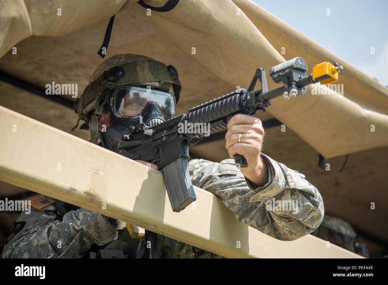 Ein U.S. Army Reserve Soldaten des 965Th Dental Gmbh bietet Sicherheit von der Rückseite eines Light Medium Tactical Vehicle (LMTV) bei der Bekämpfung der Support Training (CSTX) 86-18-02 am Fort McCoy, Wis., 11. August 2018. Dies ist der zweite CSTX des Sommers für die 86 Abteilung Weiterbildung. Die CSTX Übung ist ein groß angelegtes Training Event, wo Einheiten taktische Schulung Szenarien speziell für real zu replizieren - Welt Missionen erleben. Stockfoto