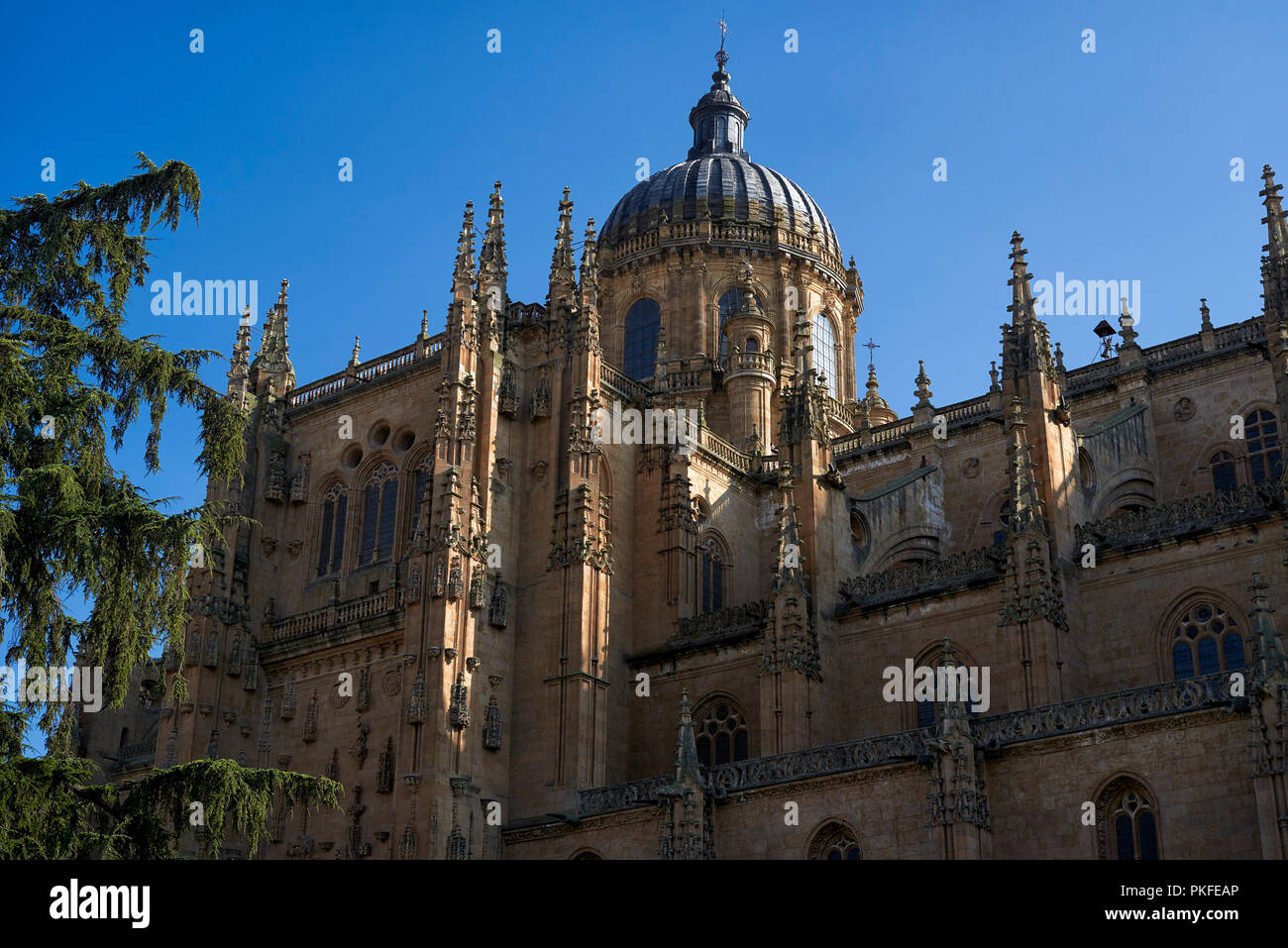 Neue Kathedrale von Salamanca, Salamanca, Spanien, Europa Stockfoto