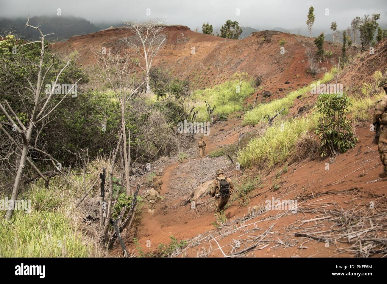 1.BATAILLON, 21 Infanterie Regiment "Gimlets', 2 Infantry Brigade Combat Team, 25 Infanterie Division, führen Sie eine kombinierte Waffen live-fire Übung in Schofield Kasernen, Hawaii, 9. August 2018. Die Übung ist Teil einer umfassenden Schulung fortschreiten, um Bekämpfung der Bereitschaft in der Vorbereitung für ein Joint Readiness Training Center rotation später in diesem Jahr zu erhalten. Stockfoto