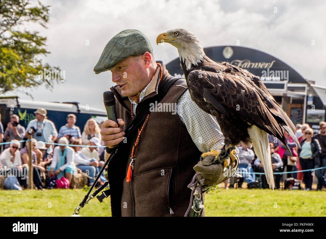 Widdicombe Messe, widdicombe-n das Moor, Devon, Großbritannien Stockfoto