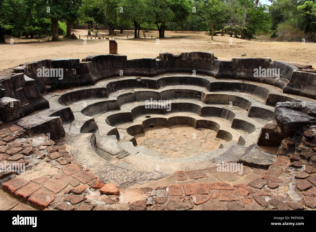 Der Lotus Teich um Polonnaruwa antike Stadt. In Sri Lanka, August 2018. Stockfoto