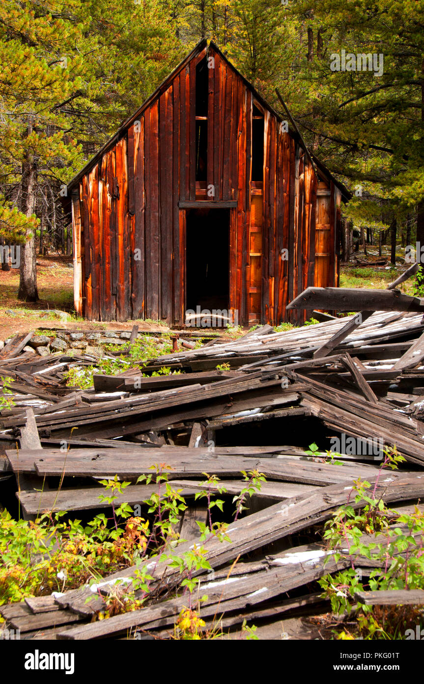 Coolidge Ghost Town, Beaverhead Deerlodge National Forest, Montana Stockfoto