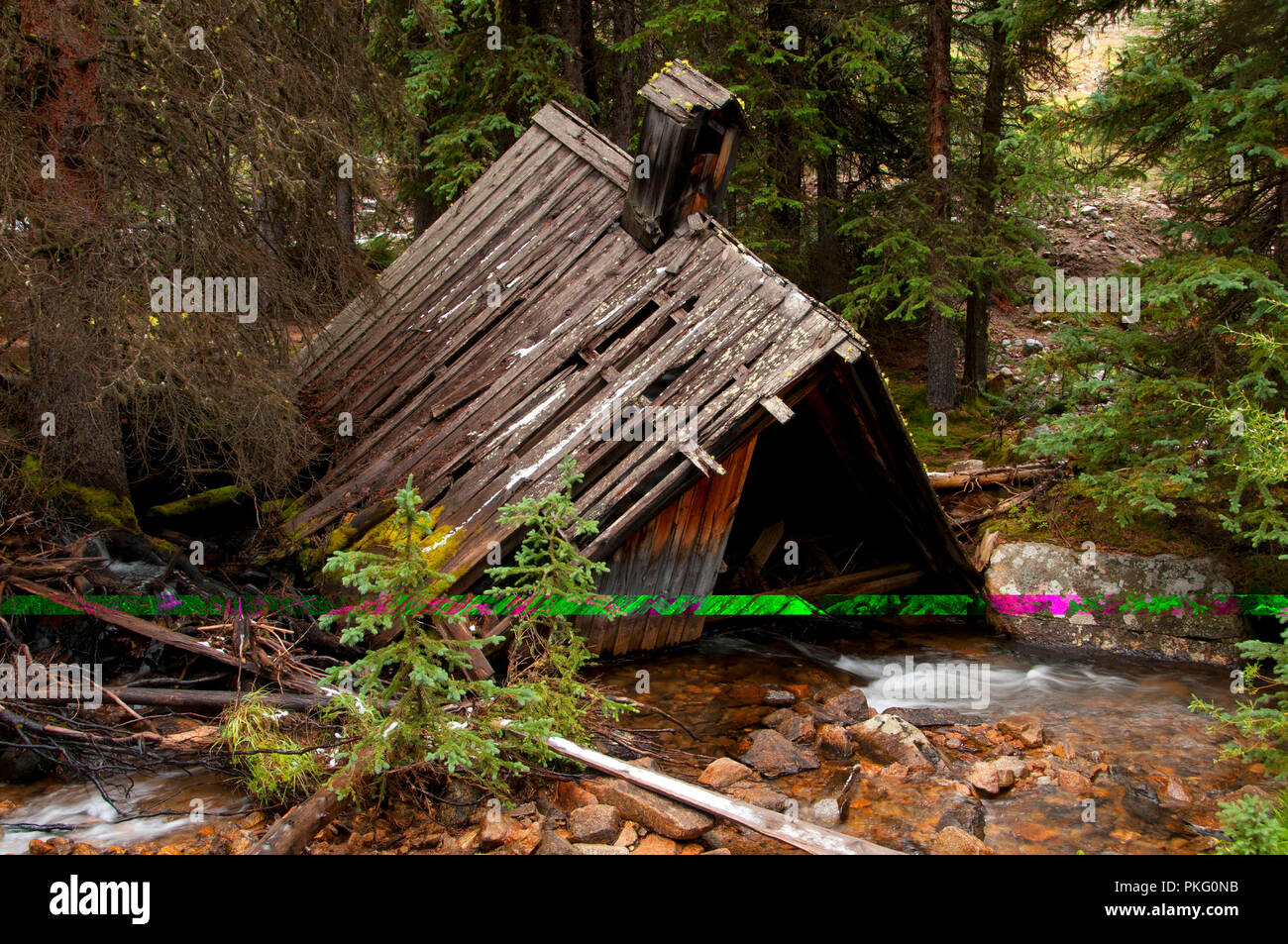 Coolidge Ghost Town, Beaverhead Deerlodge National Forest, Montana Stockfoto