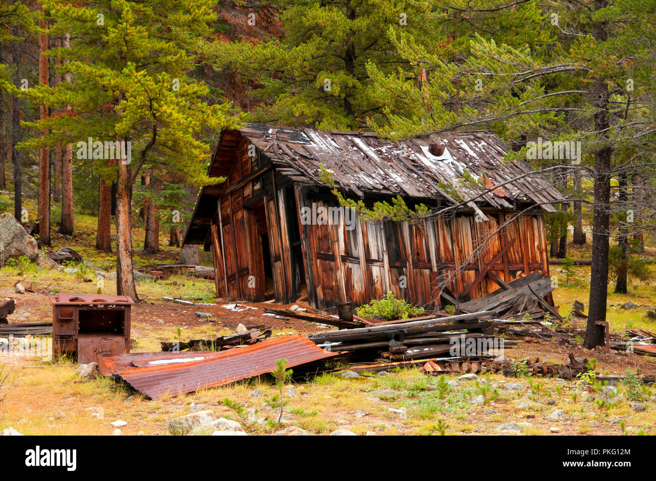 Coolidge Ghost Town, Beaverhead Deerlodge National Forest, Montana Stockfoto