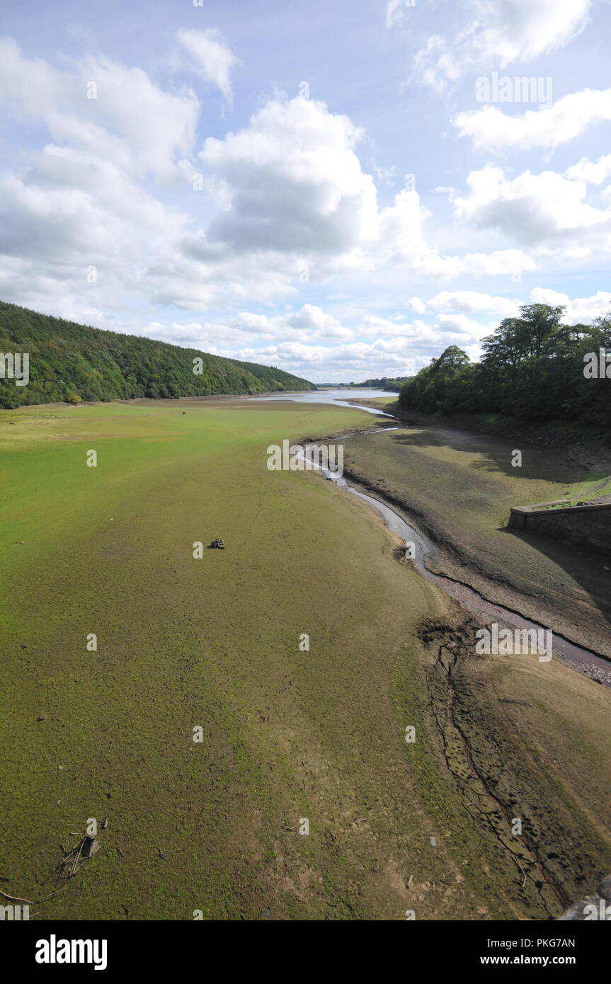 Leeds, England. 13. September 2018. Wasserstand niedrig bleiben bei Lindley Reservoir in der Washubrn Tal, außerhalb der Ballungsräume Leeds/Bradford nach einem heißen Sommer. Lindley ist nur einer von einer Reihe von Stauseen in der Washburn Tal, das Wasser zu größeren Orten und Städten in der Umgebung. credit David Hickes/Alamy Leben Nachrichten. Stockfoto