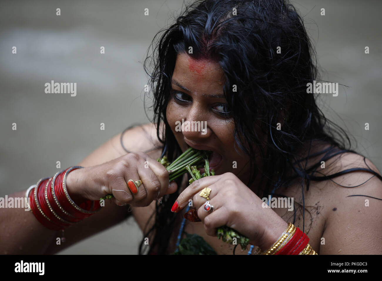 Kathmandu, Nepal. 14 Sep, 2018. Eine nepalesische Hinduistische Frau Bits ein Zweig als Rituale während Rishi Panchami Festival am Ufer des Bagmati Fluss in Kathmandu, Nepal am Freitag, 14. September 2018. Rishi Panchami beobachtet wird am Ende des dreitägigen Teej Festival wenn Frauen Gottesdienst Sapta Rishi (Sieben Heiligen) Am letzten Tag durch ihre Körper reinigen mit 365 Stämme der Apamarga, ein medizinisches Werk außerdem in der Badewanne mit Kuhmist und Boden von heiligen Orten und Asche in Glauben, daß sie gesegnet und für alle Sünden, die Sie glaubten, wurden bei den Männern begangen hat, vergeben werden gesammelt zu markieren Stockfoto