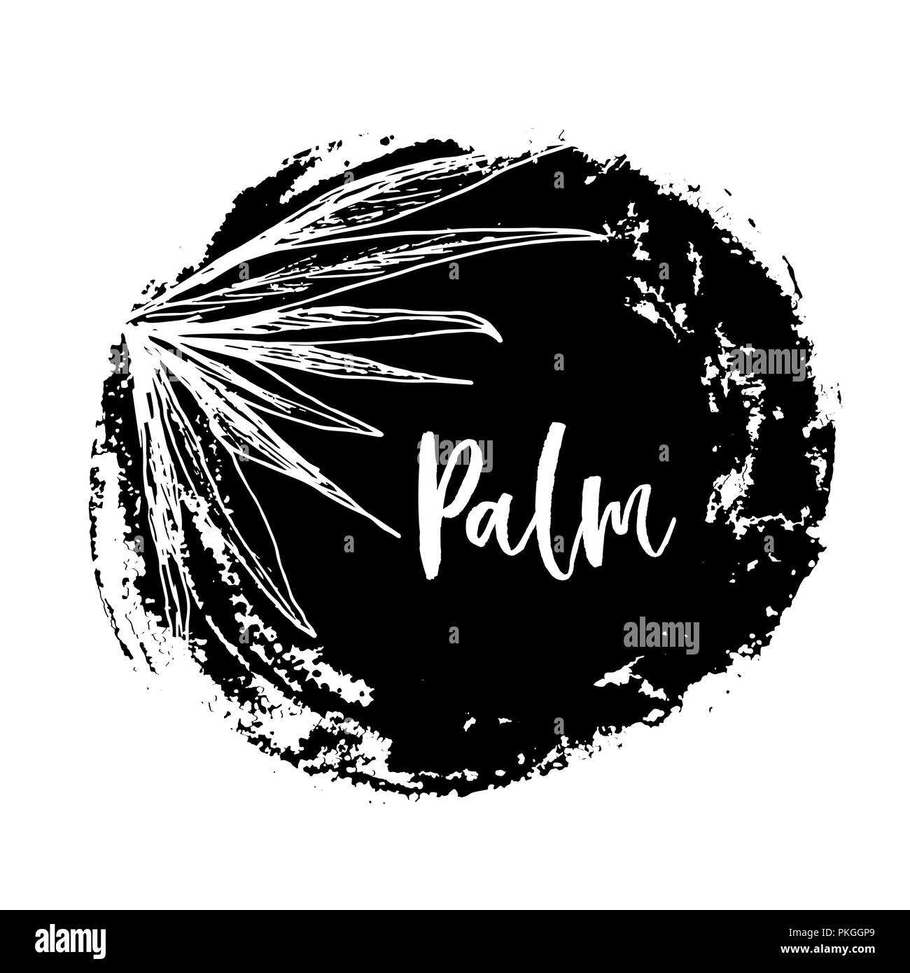 Isolierte Kokosnuss oder queen Palm Tree mit Blättern. Strand und Regenwald, Wüste coco Flora. Laub von subtropischen Farn. Grüne Palmae oder Dschungel arecaceae. Insel Klima, Botanik, Thema Umwelt Stock Vektor