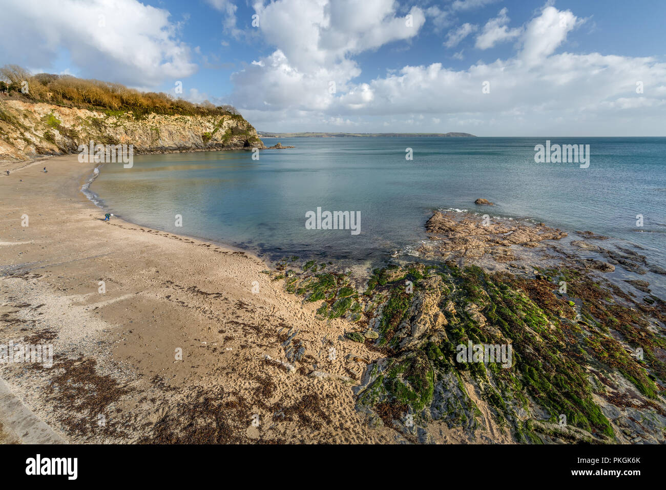 Steine und Algen bei Ebbe, Porthpean Beach, Cornwall Stockfoto