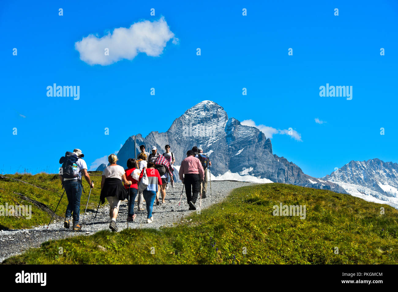Wanderer im Wandergebiet Grindelwald First, Peak Wetterhorn hinter, Grindelwald, Berner Oberland