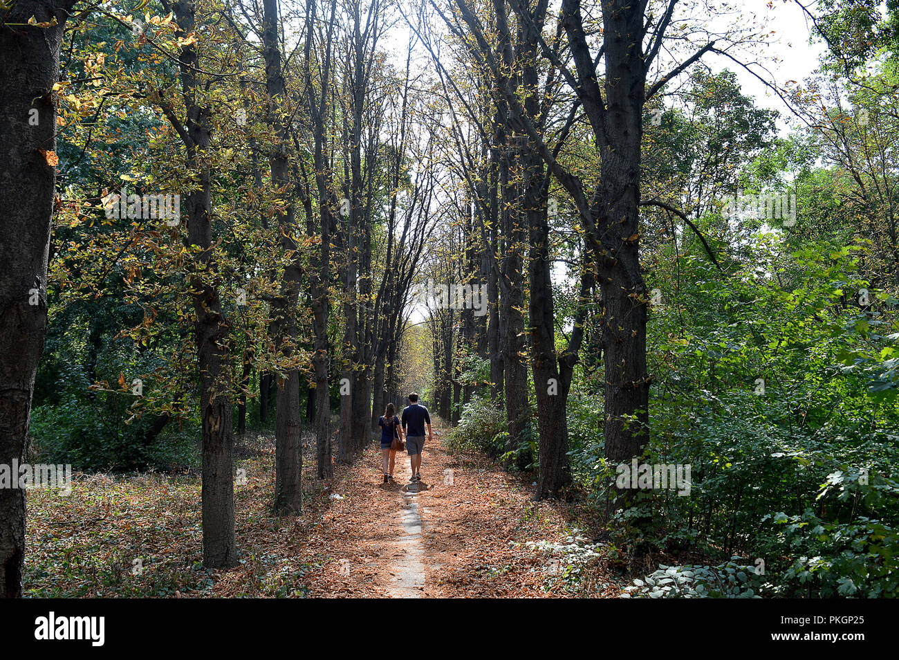 Ein junges Paar Spaziergang in einem städtischen Waldspaziergang in Bukarest, Rumänien, im frühen Herbst. Stockfoto