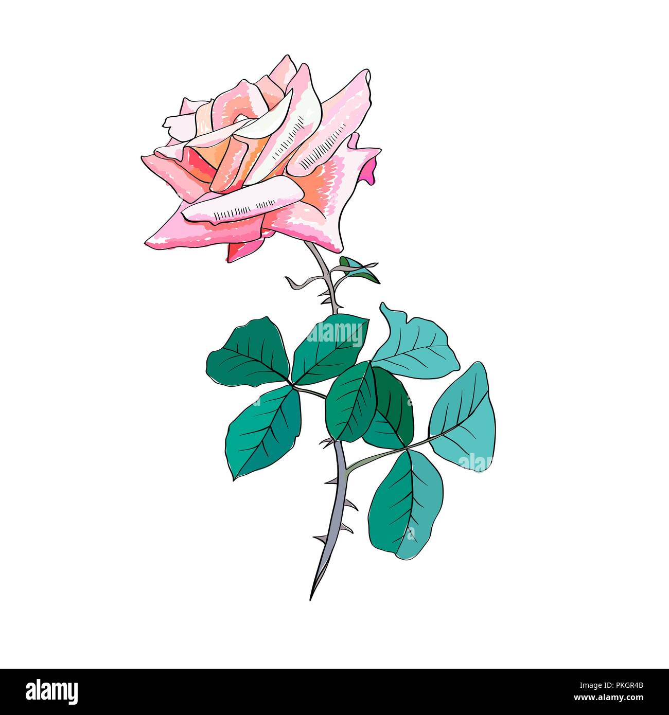 Rosa Rose watercolor Illustration. Liebe dich soo viel Kalligraphie. Rosa Rose mit Dornen und Blätter. Garten Blume. Valentines Tag. Grußkarte, Postkarte, Brief Floral Design. Isolierte Farbe Vektor Stock Vektor