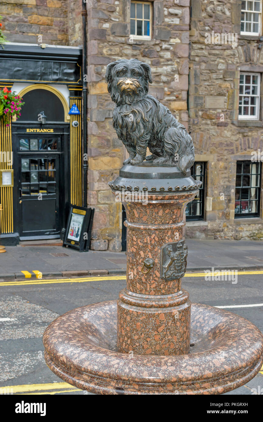 Onset Installation Tordenvejr EDINBURGH SCHOTTLAND EDINBURGH GEBÄUDE VON DER STATUE VON DEM HUND  GREYFRIARS BOBBY Stockfotografie - Alamy