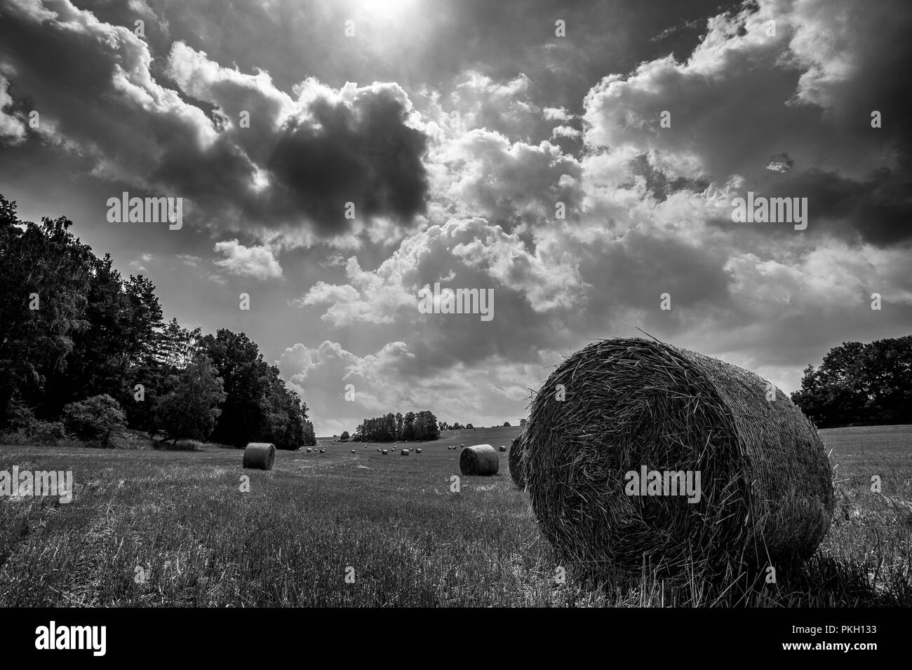 Geerntete Feld mit Strohballen in Zentralböhmen Stockfoto