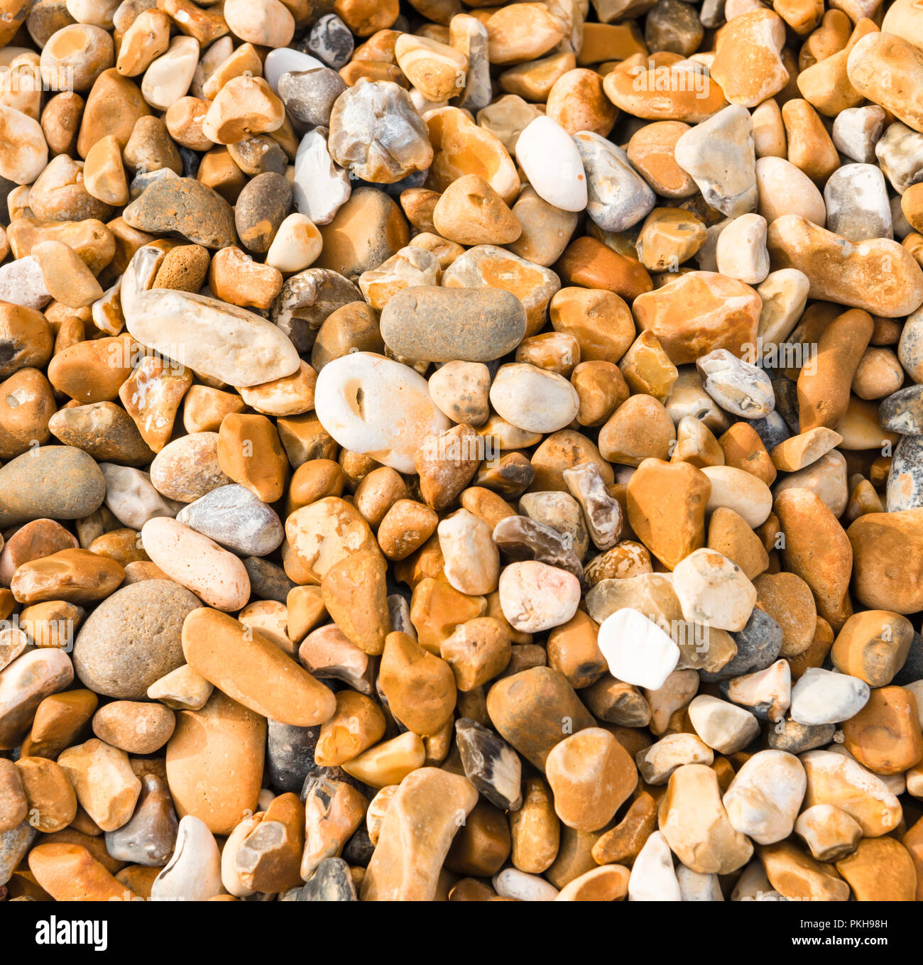 Ein quadratisches Bild der Steine bei Winchelsea Beach in East Sussex, England. 30. August 2018 Stockfoto