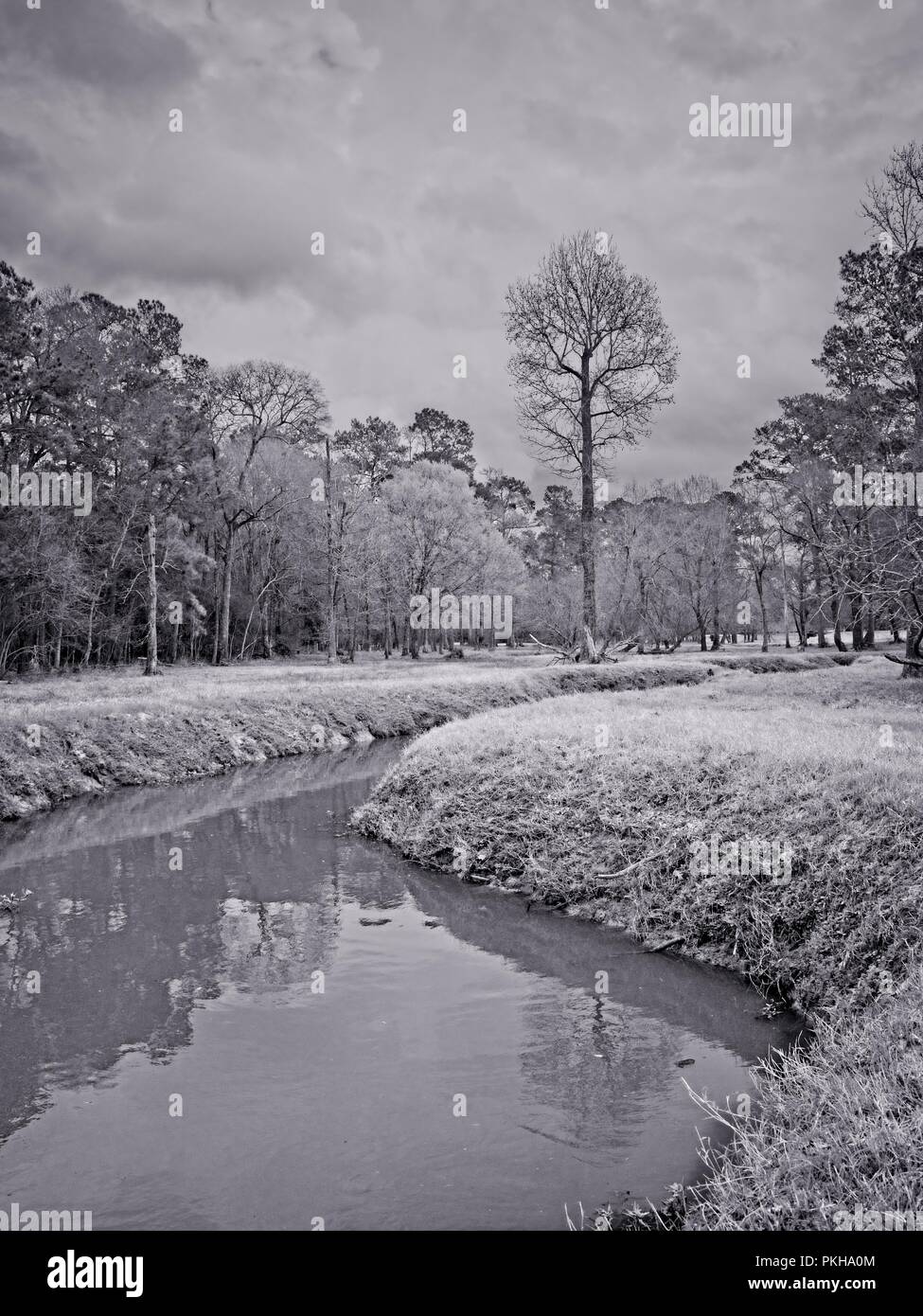 The Woodlands, TX USA - Dez. 20, 2018 - Wasser Strom in einem Wald in B&W Stockfoto