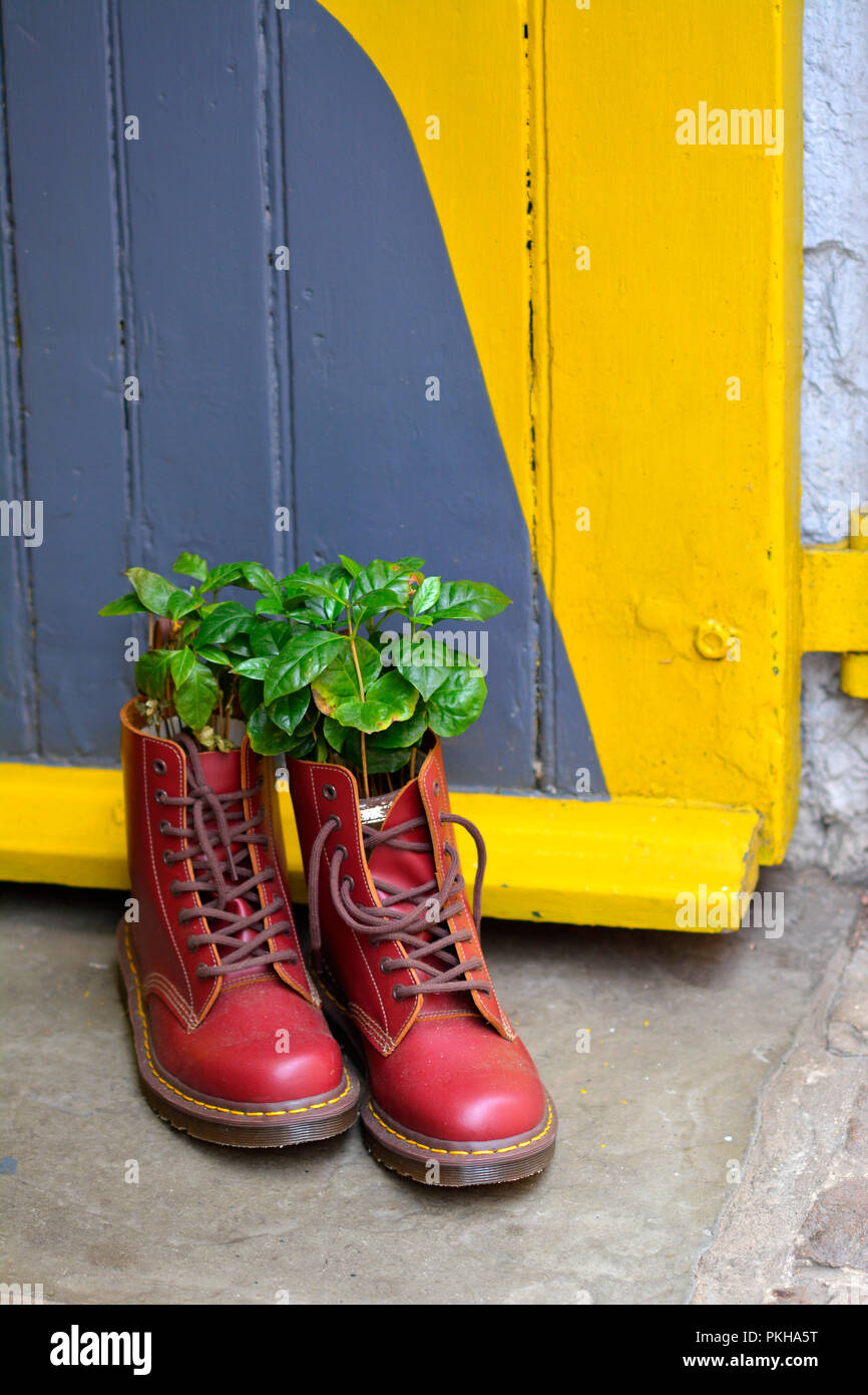 Dr martens amarillas 50 hot sale