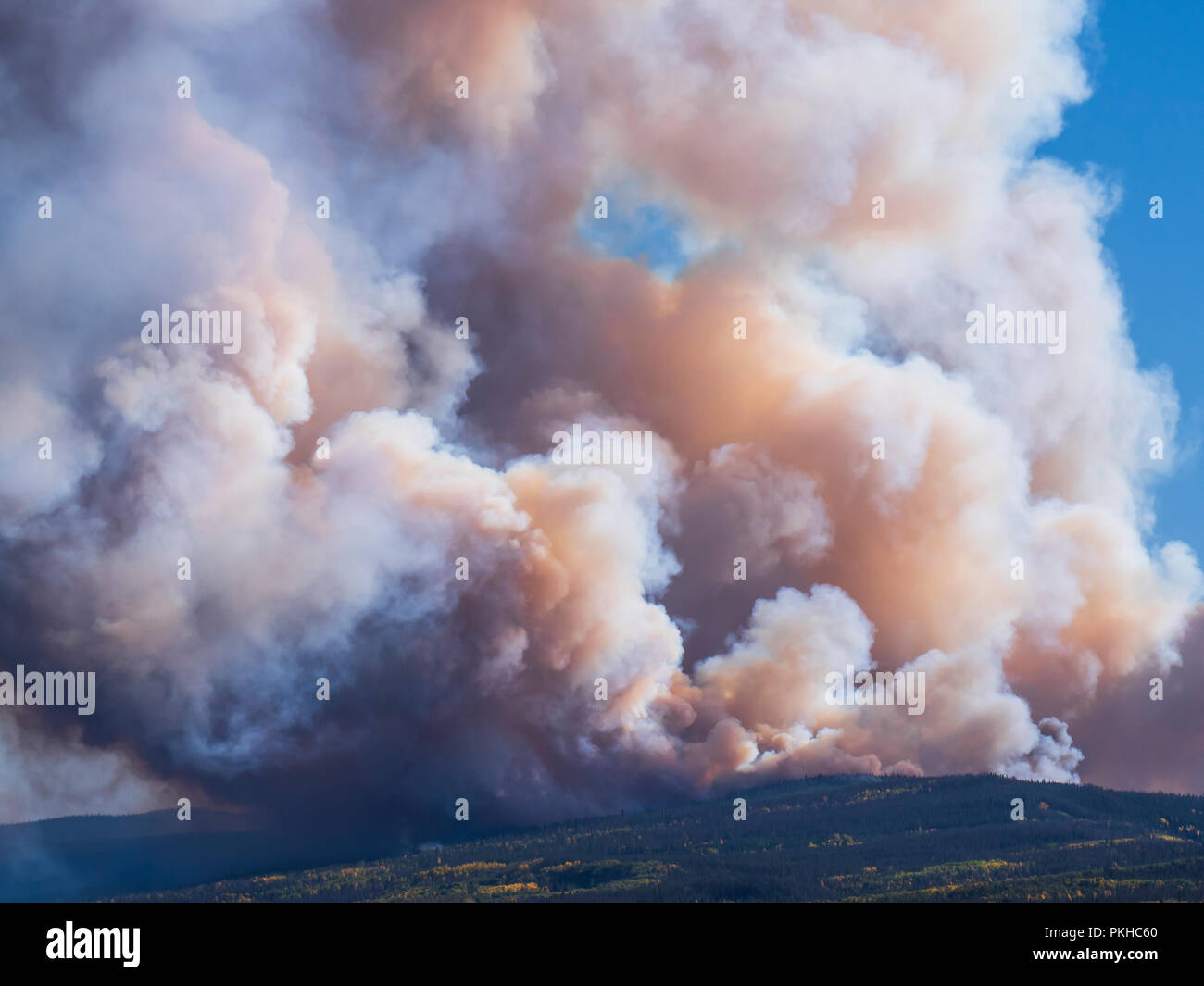 Silver Creek Waldbrand in der Nähe von Kremmling, Colorado. Stockfoto