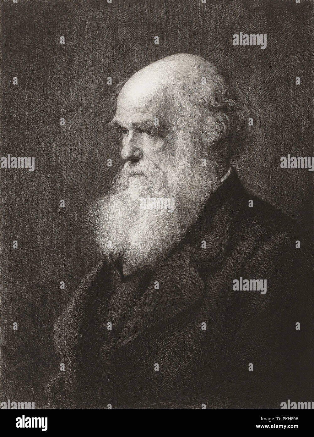 Charles Robert Darwin, 1809 - 1882. Englischen Naturforscher und Schriftsteller. Von einem Stich von Paul Adolphe Rajon, nach Walter William Ouless. Stockfoto