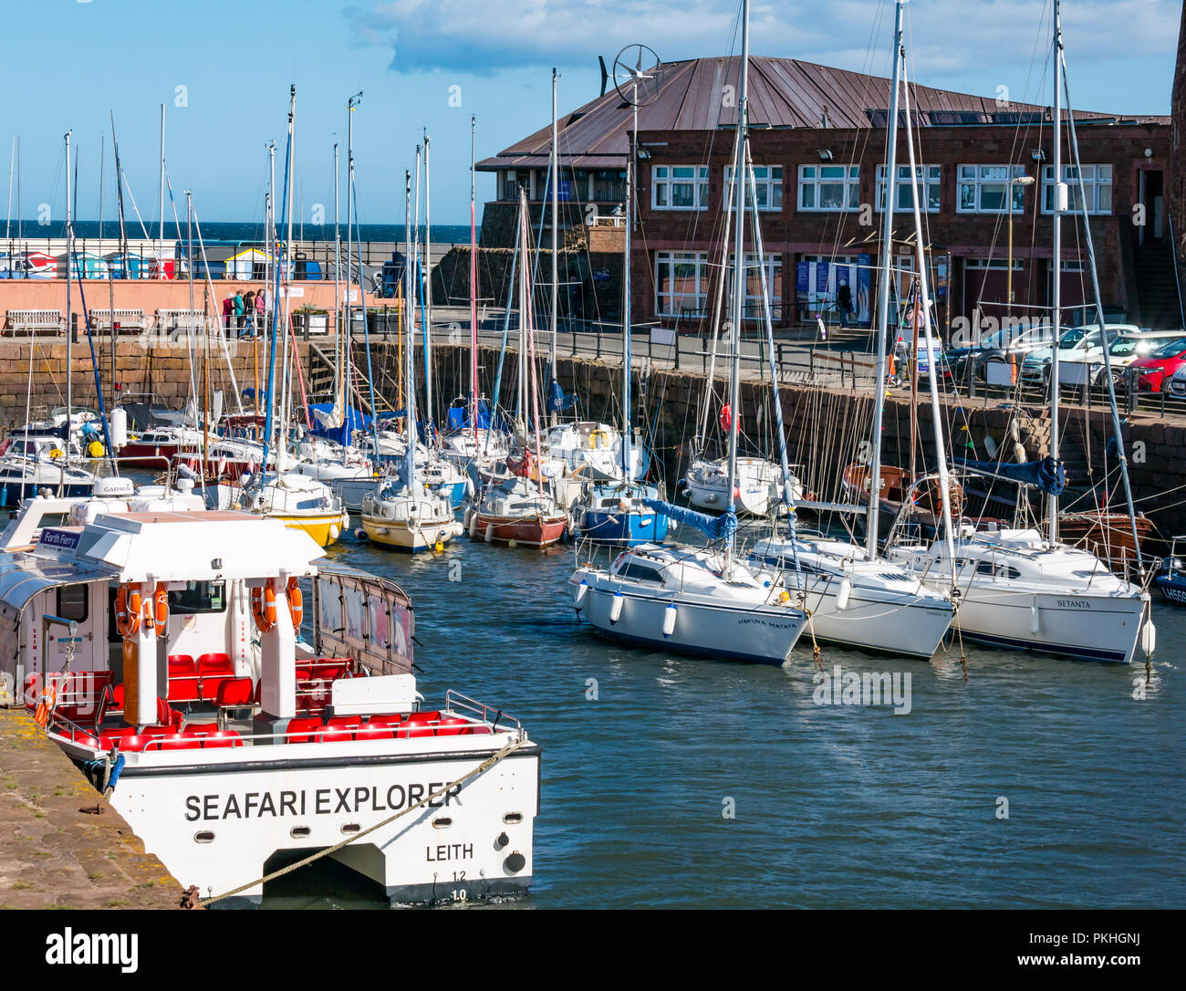 Segelboote und Seafari Explorer Katamaran, North Berwick Hafen an einem sonnigen Tag, East Lothian, Schottland, Großbritannien Stockfoto