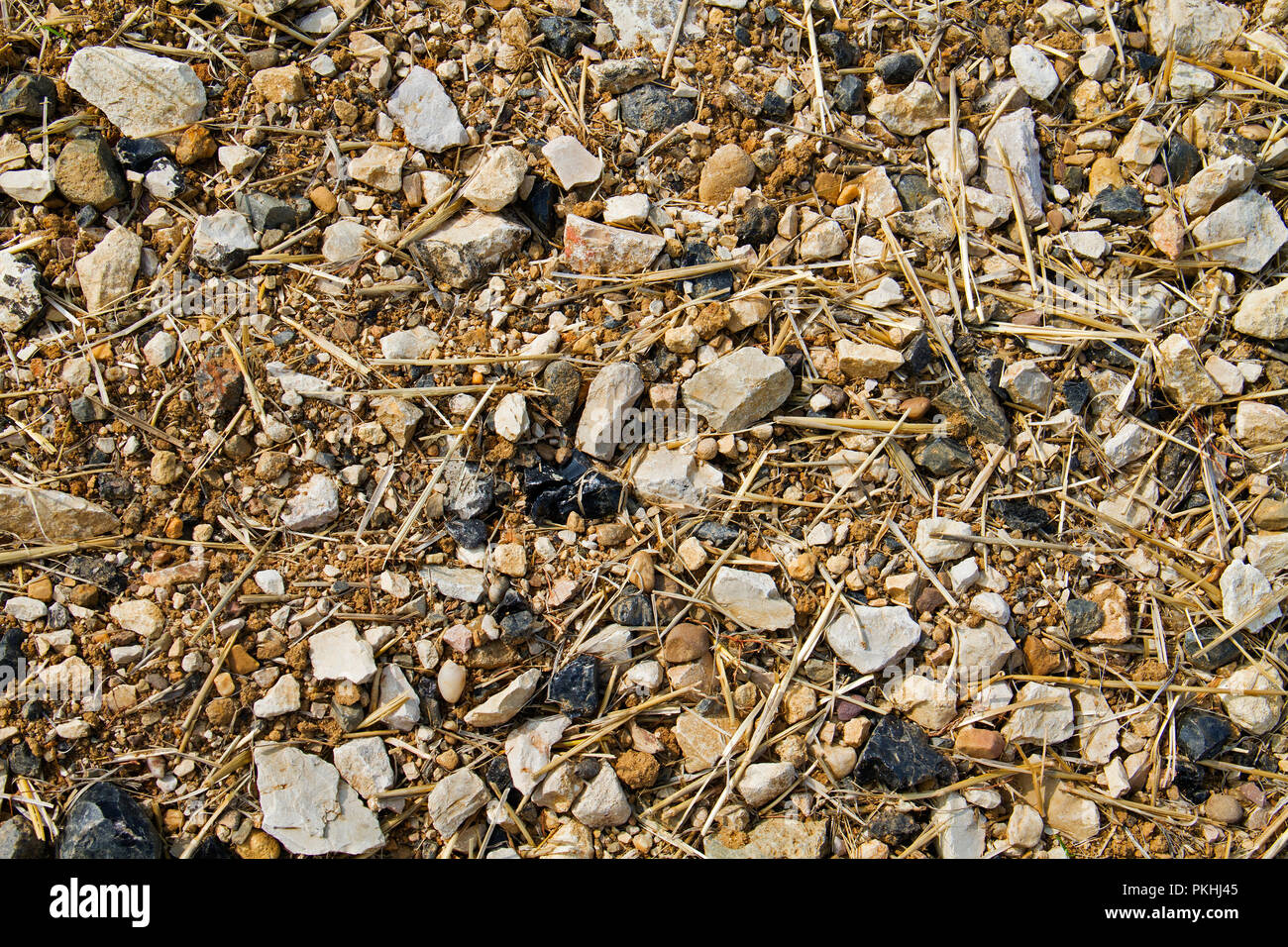Karge Land: Ackerboden mit viel Kopfsteinpflaster, vor allem Kalk und Feuerstein Stockfoto