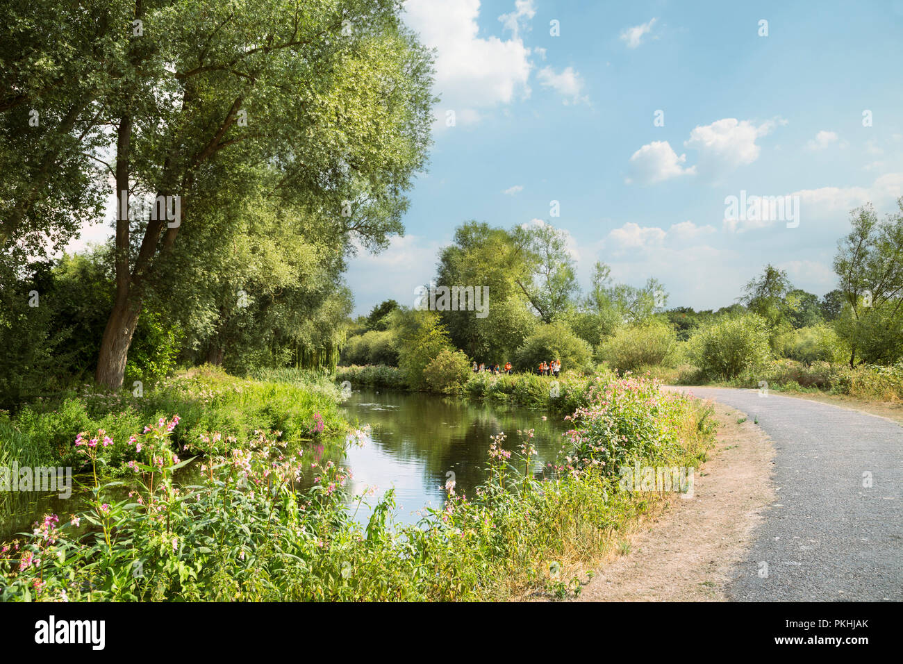 Malerischer Blick auf schönen Grünanlagen Riverside in Essex, Großbritannien Stockfoto