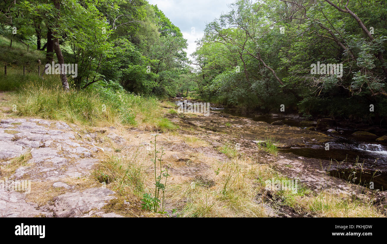 Afon Mellte Fluss führt zu Sgwd Clun-Gwyn Wasserfall, Wales, Vereinigtes Königreich Stockfoto