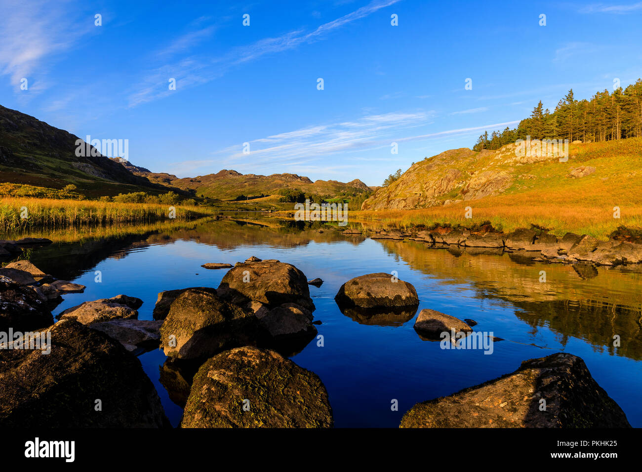 Der See Llynnau Mymbyr reflektieren die umliegende Landschaft der Berge, Schilf und Felsen. Stockfoto