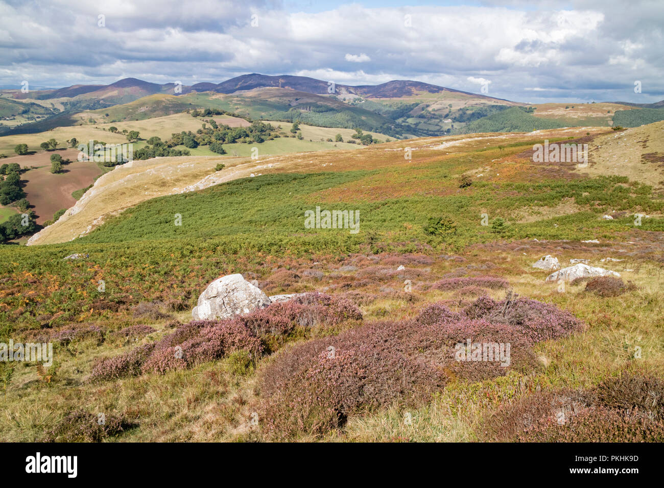 Ein Blick nach Norden von eglwyseg Escarpment hinunter die Dee Tal und auf das Tal von Llangollen, Wales, Großbritannien Stockfoto