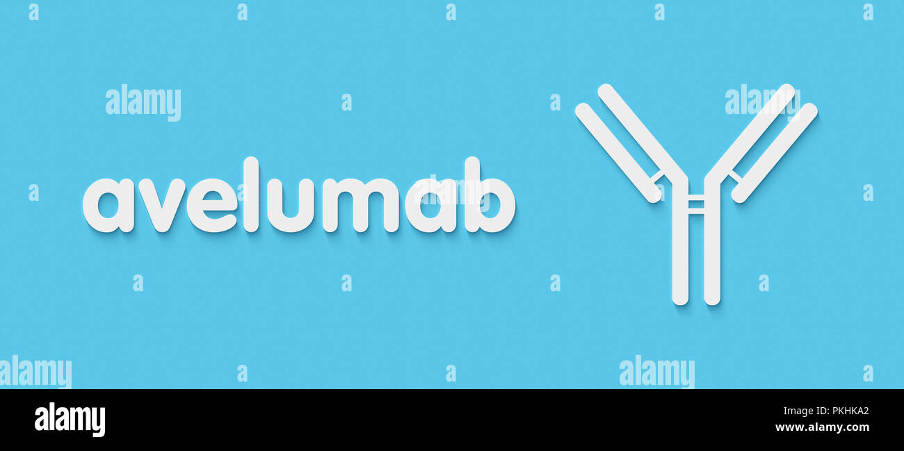 Avelumab monoklonalen AntikörperWirkstoff. Richtet sich an