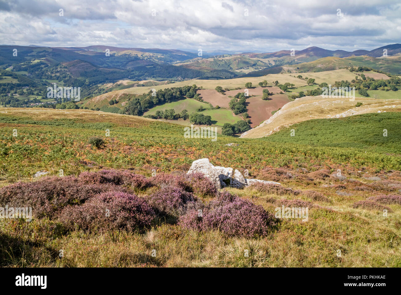 Ein Blick nach Norden von eglwyseg Escarpment hinunter die Dee Tal und auf das Tal von Llangollen, Wales, Großbritannien Stockfoto