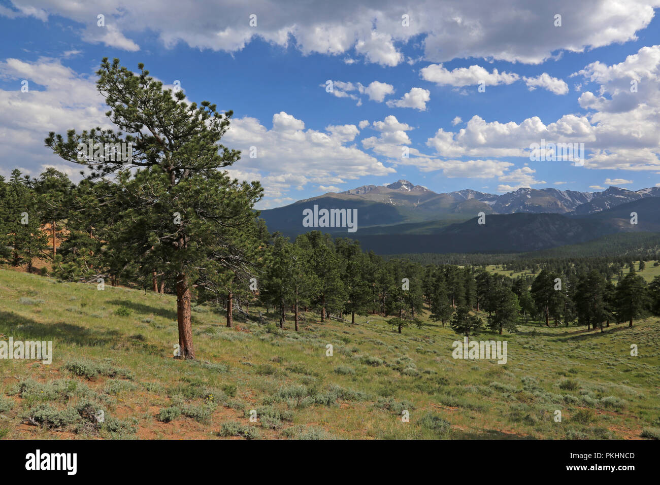 Eine wunderschöne Aussicht auf das Tal unterhalb Deer Ridge Junction, im Rocky Mountain National Park, Colorado, USA. Stockfoto