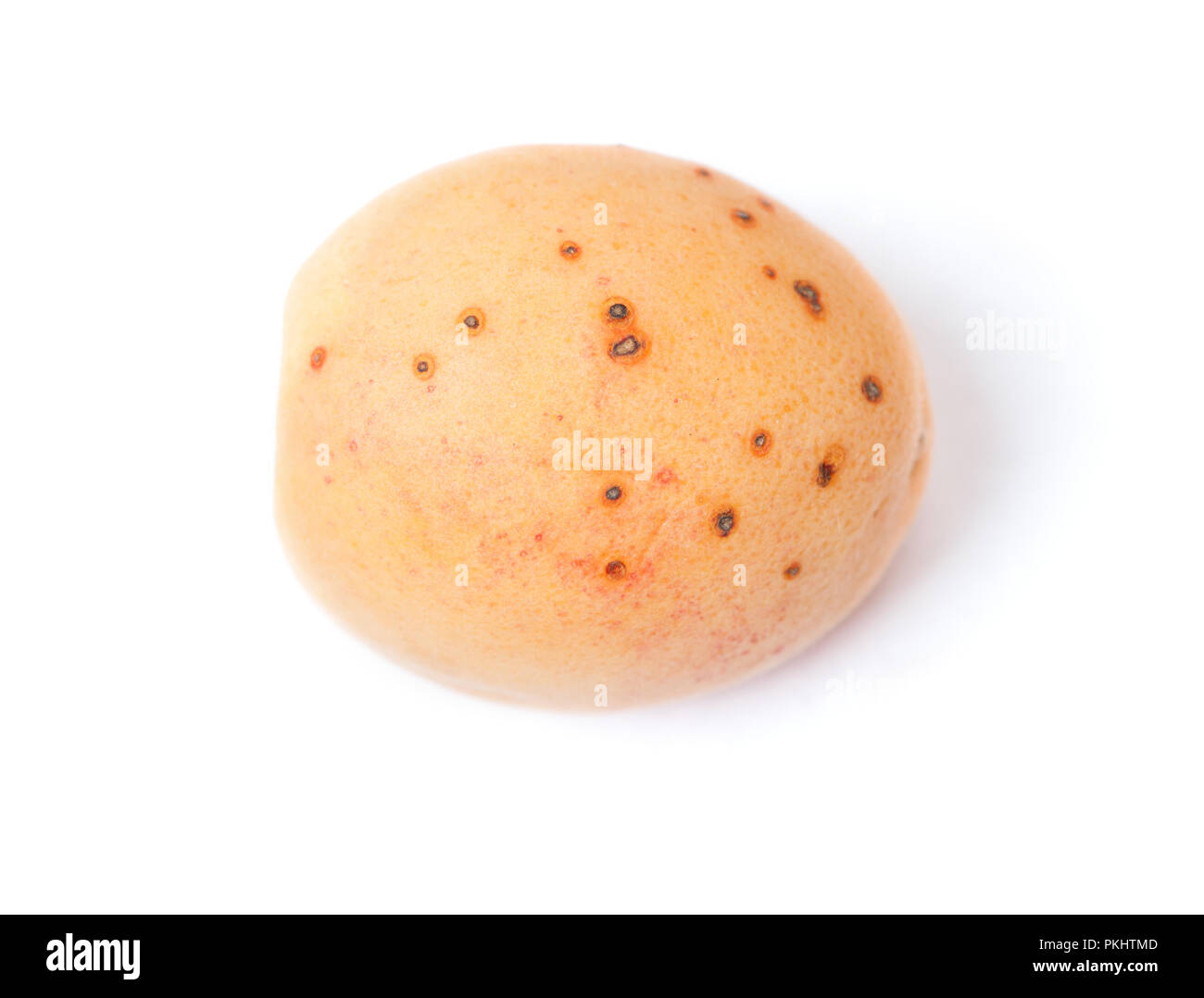 Faule apricot mit Schimmel auf weißem Hintergrund Stockfoto