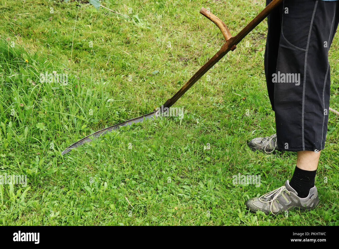 Ein Mann ein Gras mähen mit der Sense. Dieses Werkzeug ist aus Holz und Stahl Kante zusammenbauen. Sommer job Stockfoto