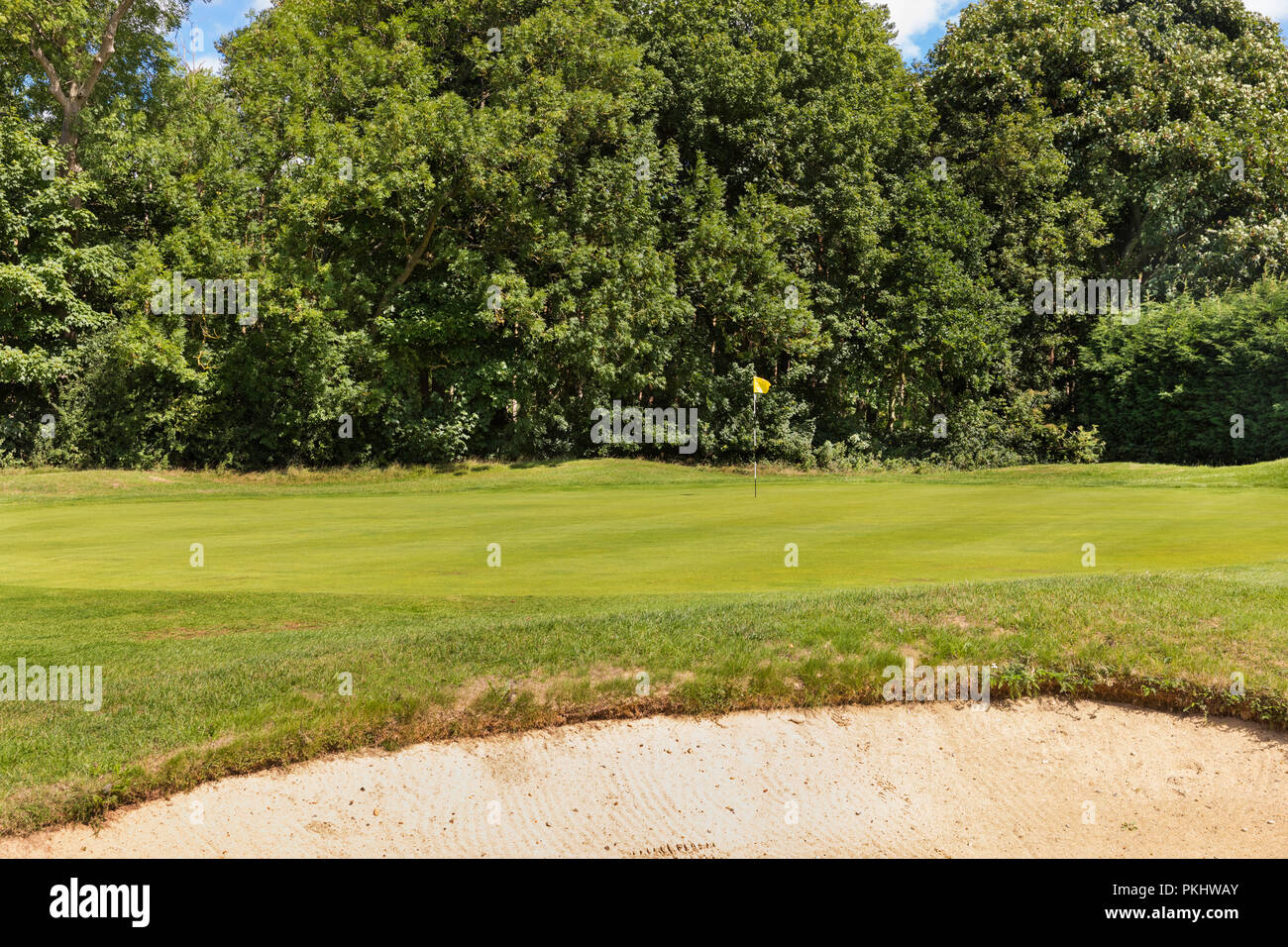 Schöne Golfplätze mit grünem Gras Stockfoto