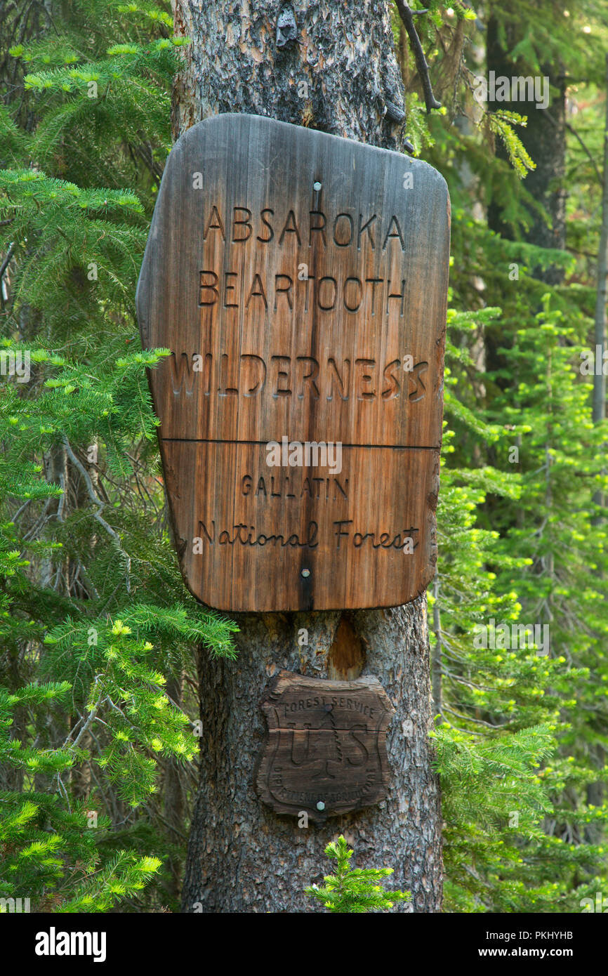 Wüste Zeichen entlang der Dame des Lake Trail, Absaroka Beartooth Wilderness, Gallatin National Forest, Montana Stockfoto