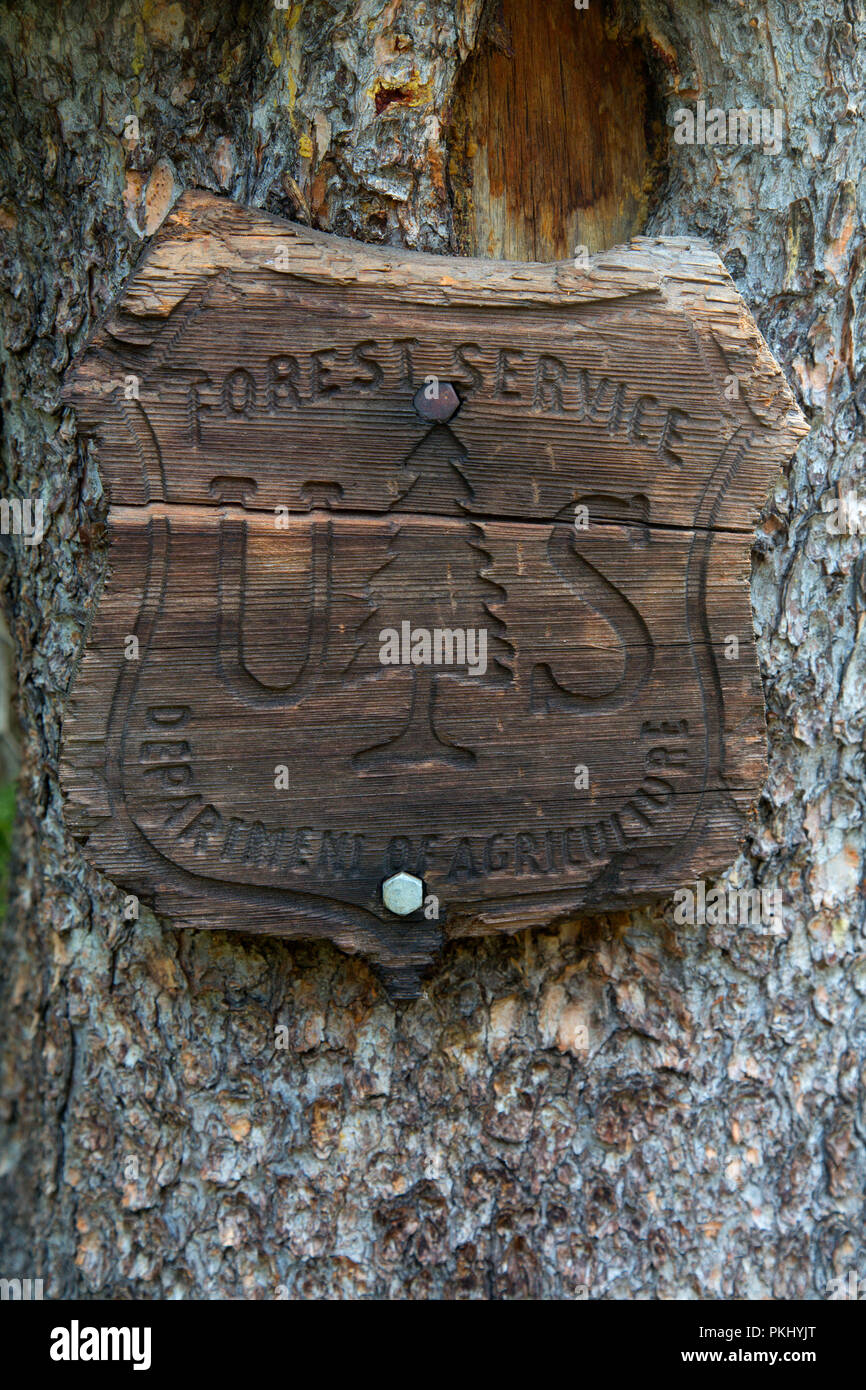 Forest Service Markierung entlang der Dame des Lake Trail, Absaroka Beartooth Wilderness, Gallatin National Forest, Montana Stockfoto