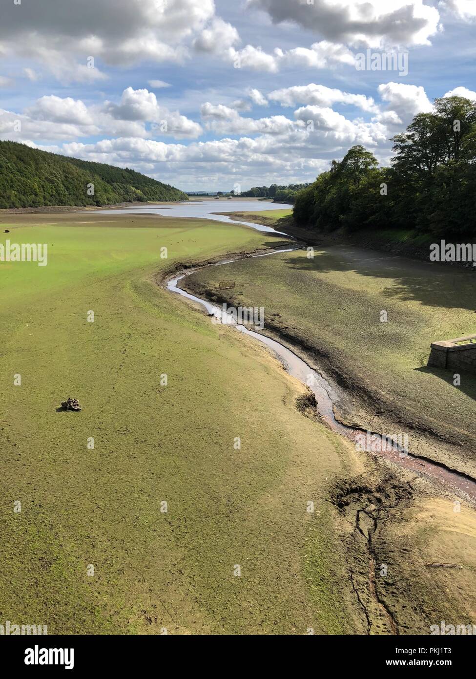 Leeds, England. 13. September 2018. Wasserstand niedrig bleiben bei Lindley Reservoir in der Washubrn Tal, außerhalb der Ballungsräume Leeds/Bradford nach einem heißen Sommer. Lindley ist nur einer von einer Reihe von Stauseen in der Washburn Tal, das Wasser zu größeren Orten und Städten in der Umgebung. credit David Hickes/Alamy Leben Nachrichten. Stockfoto