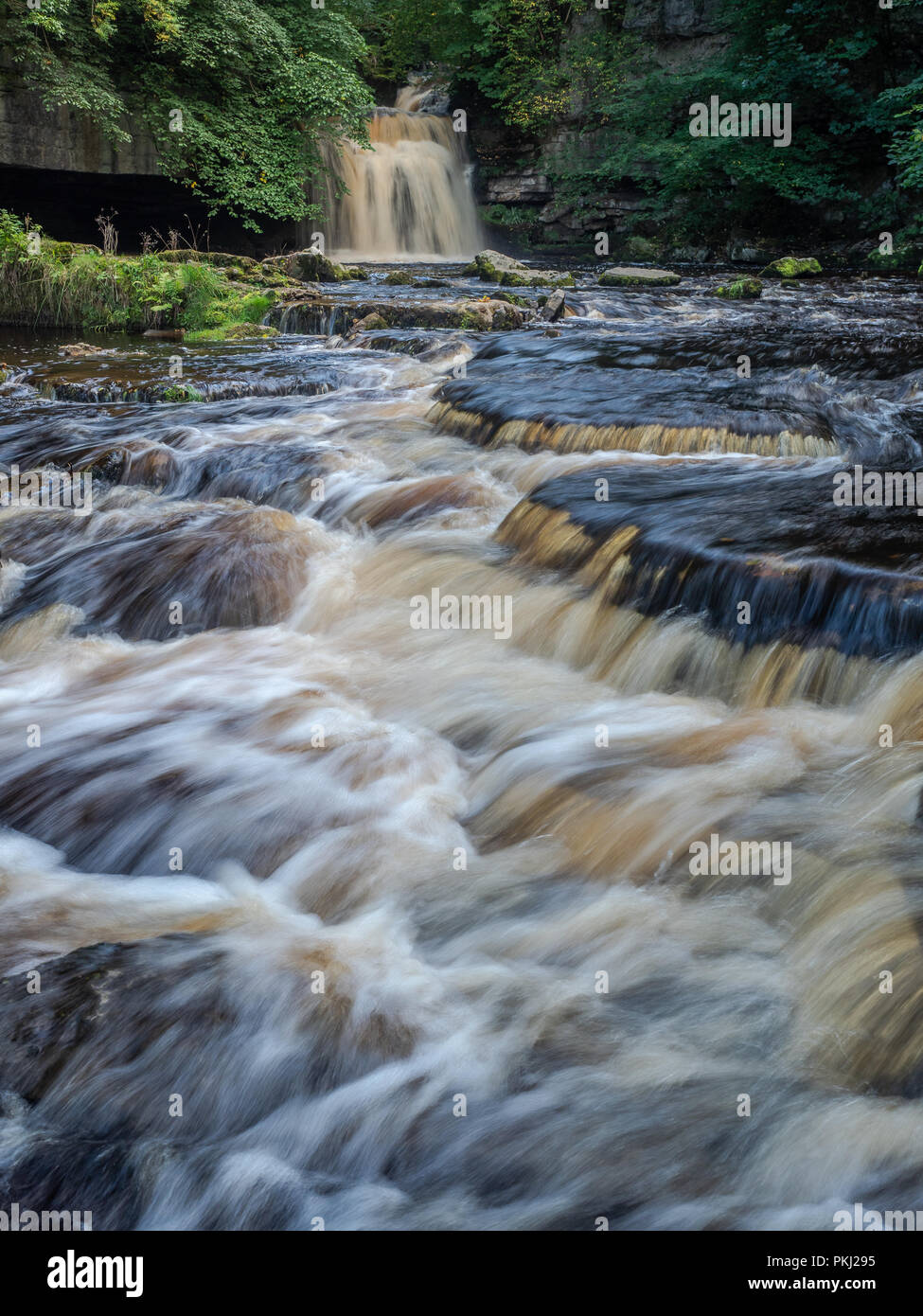 West Burton fällt (auch bekannt als Kessel fällt) in Wensleydale ist eine beliebte Sehenswürdigkeit in den Yorkshire Dales National Park Stockfoto