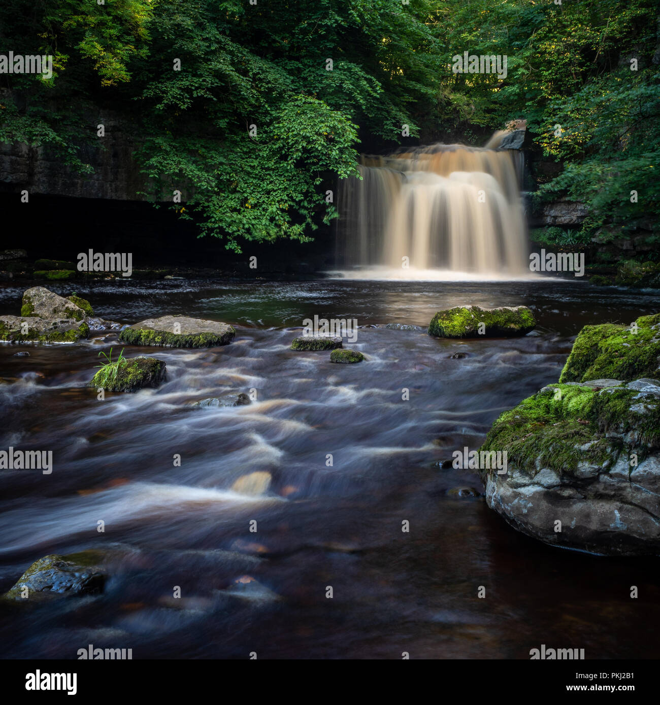 West Burton fällt (auch bekannt als Kessel fällt) in Wensleydale ist eine beliebte Sehenswürdigkeit in den Yorkshire Dales National Park Stockfoto
