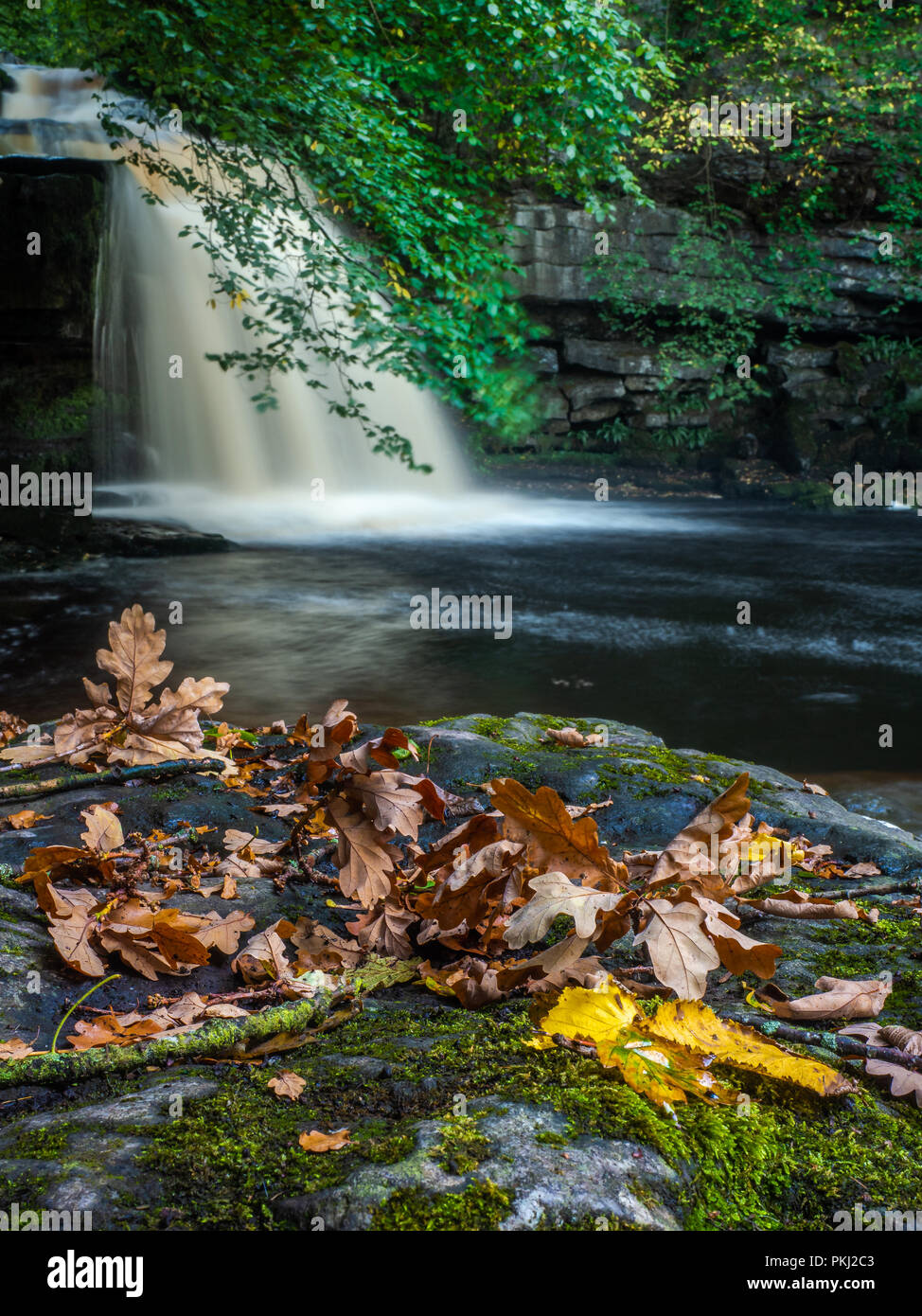 West Burton fällt (auch bekannt als Kessel fällt) in Wensleydale ist eine beliebte Sehenswürdigkeit in den Yorkshire Dales National Park Stockfoto