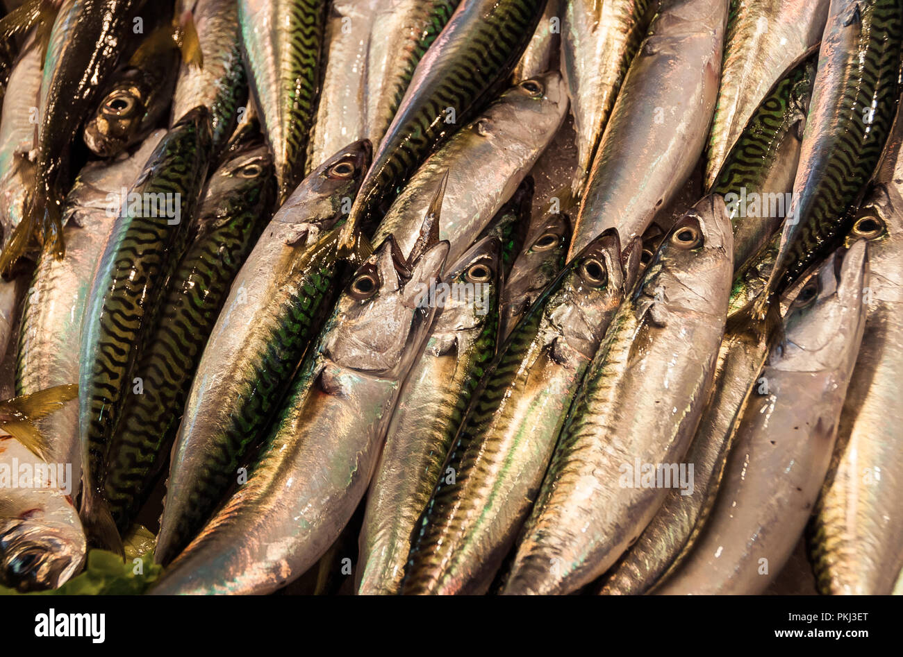 Makrele am Fischmarkt Stockfoto
