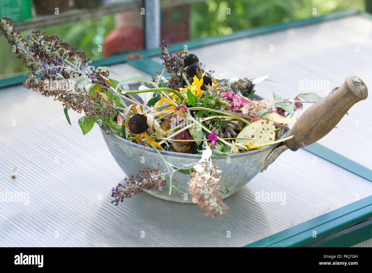 Kupplungsdrucköl Blumen in einem Garten Stockfoto