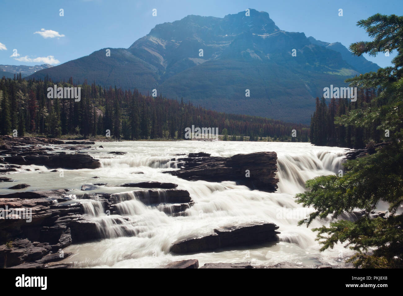 Athabasca Falls, Jasper, Alberta, Kanada Stockfoto