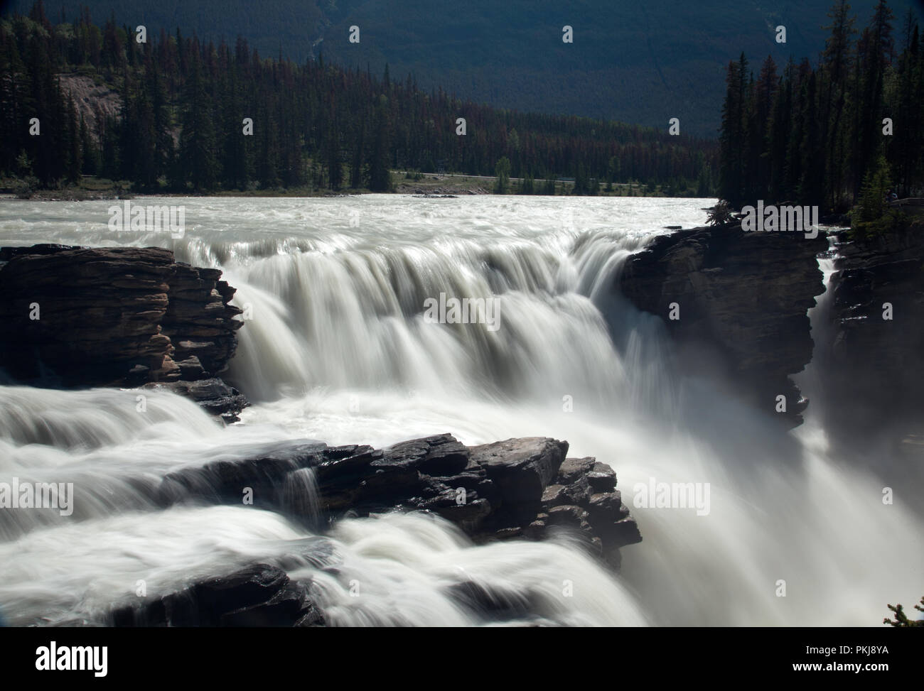 Athabasca Falls, Jasper, Alberta, Kanada Stockfoto