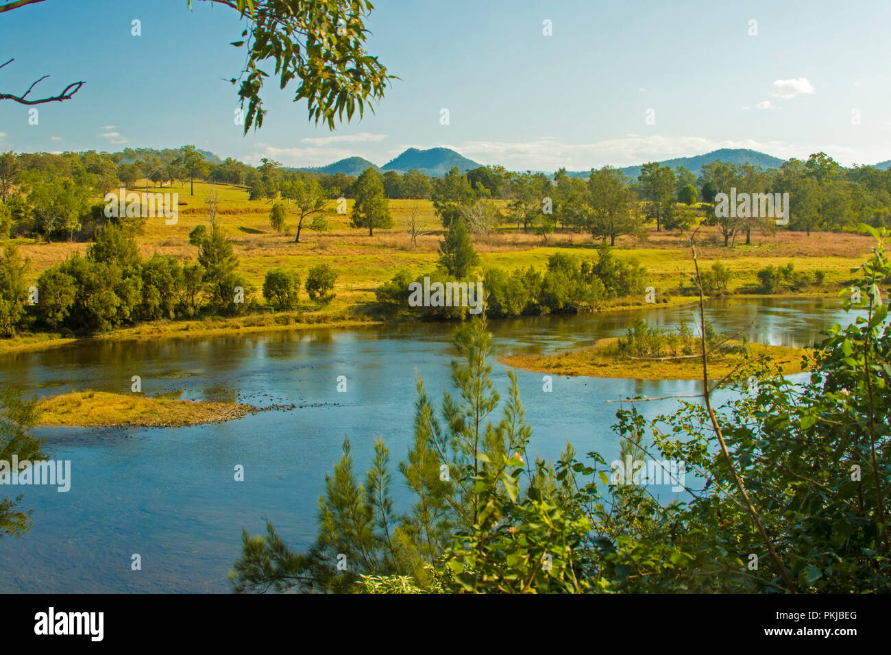 Australische Landschaft mit blauen Wassern des Bellinger River schneiden durch Tal in goldene Gräser und Bäume unter blauem Himmel in der Nähe von DORRIGO NSW verdeckt Stockfoto