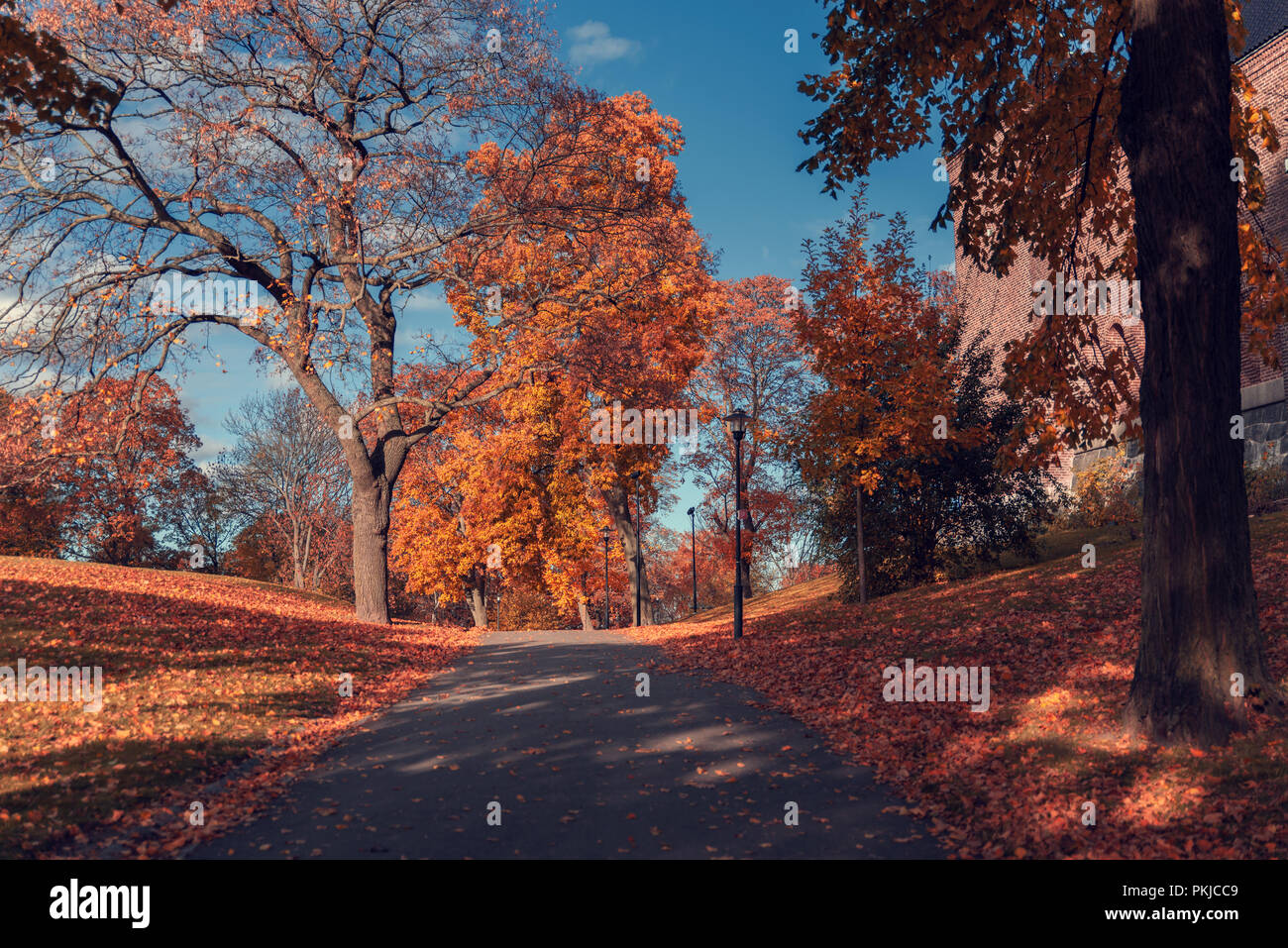 Schönen und bunten Herbst in Stockholm. Stockfoto