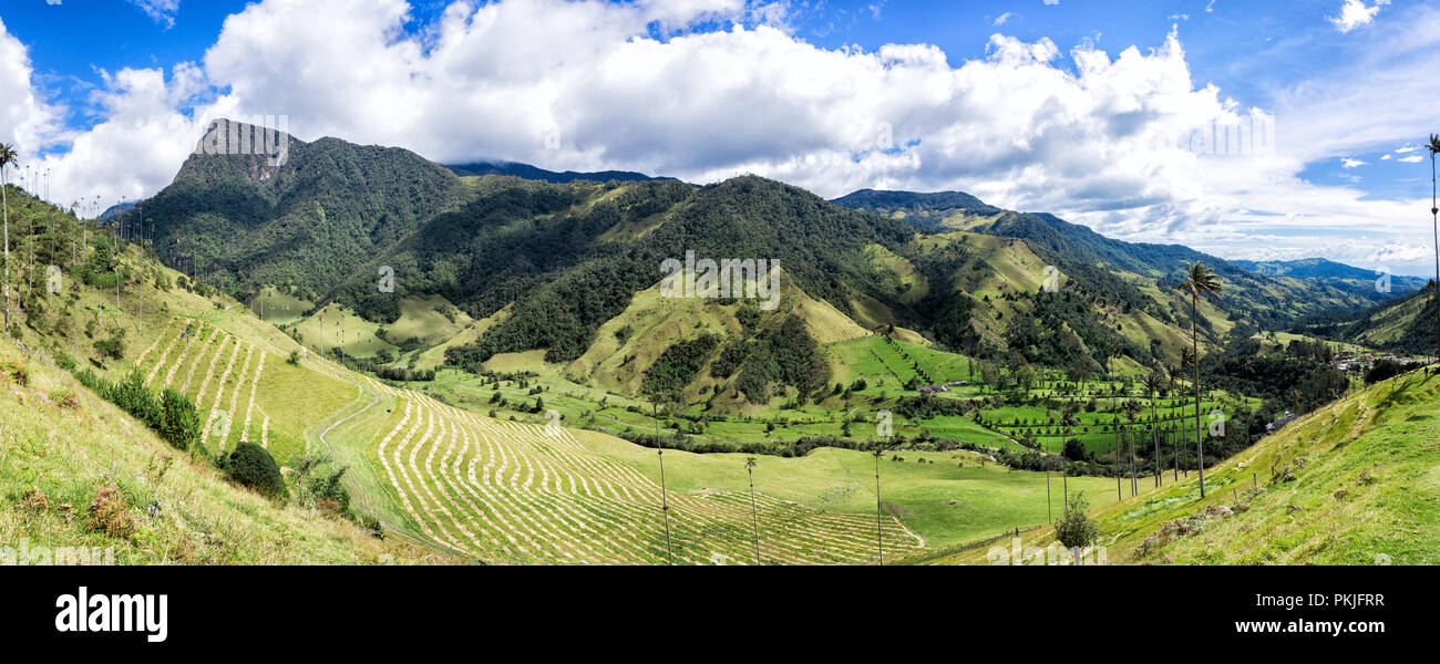Panorámica montañosa del Valle de Cocora en Salento Quindío, Kolumbien. Stockfoto