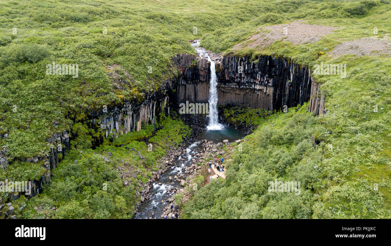 Svartifoss Wasserfall, Skaftafell, Vatnajökull National Park, Island Stockfoto